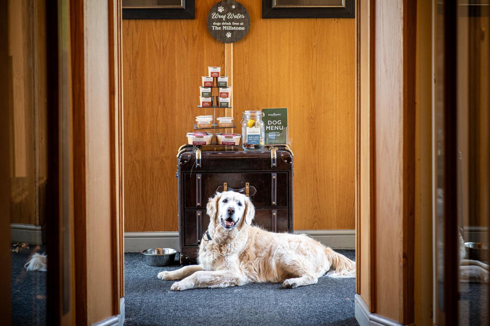 布莱克本 The Millstone, Mellor酒店 外观 照片 The Dog Room